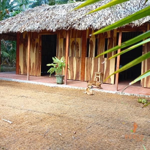 Ecoco Homestay Mekong Ben Tre Exterior photo